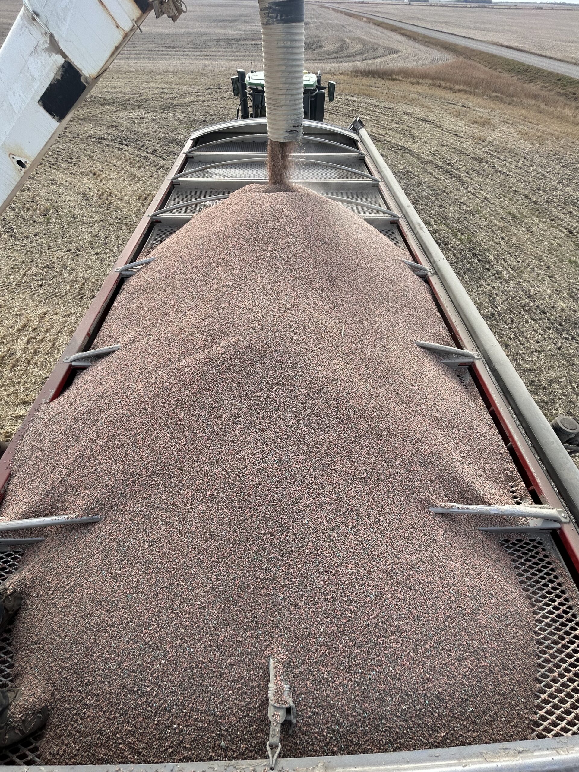Granular product being loaded into an applicator hopper